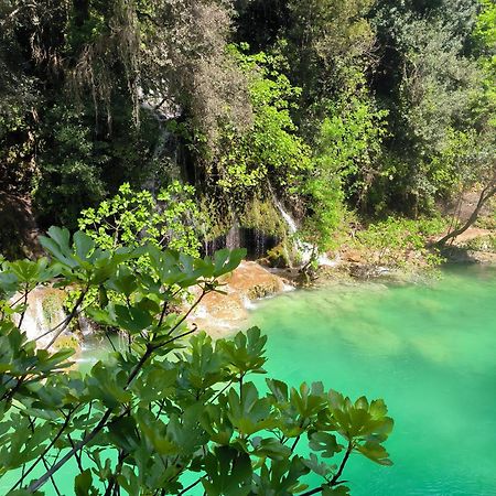 Le Mas Melusine Fayence Ngoại thất bức ảnh
