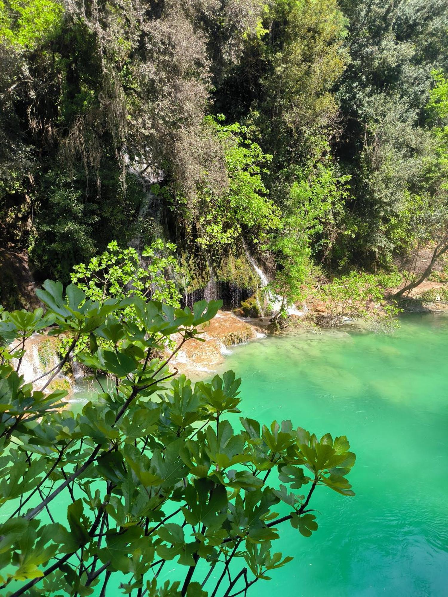 Le Mas Melusine Fayence Ngoại thất bức ảnh